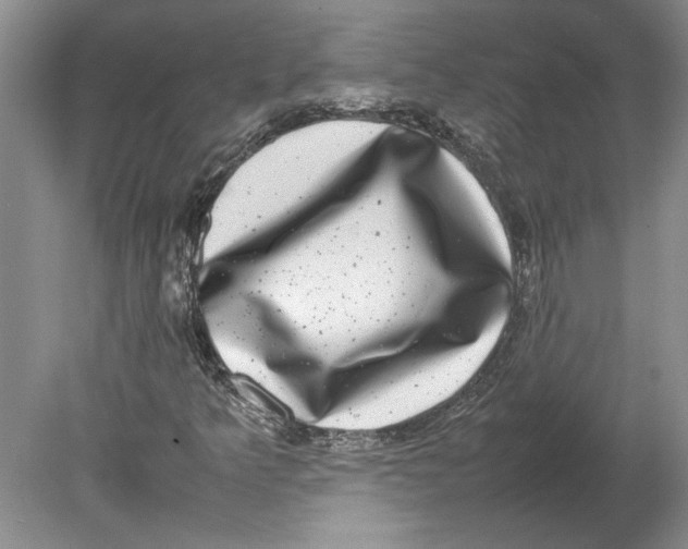 X0000080751349200701051200