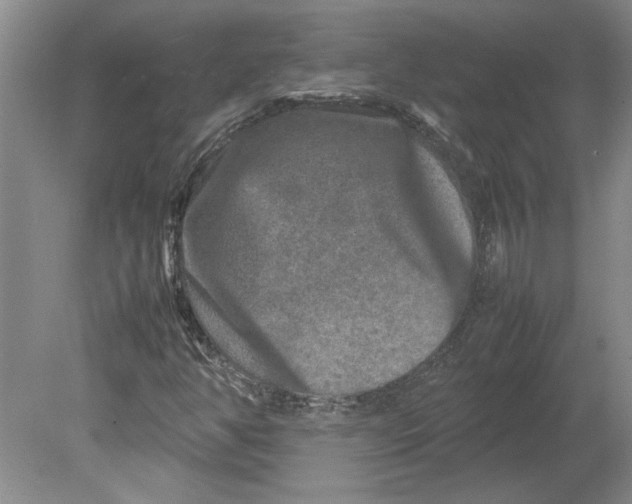 X0000080751350200701051200
