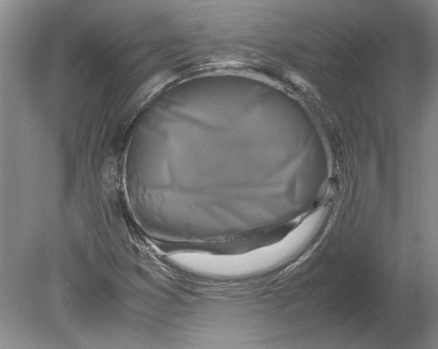 X0000080751353200701051200