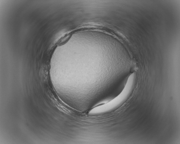 X0000080751355200701051200