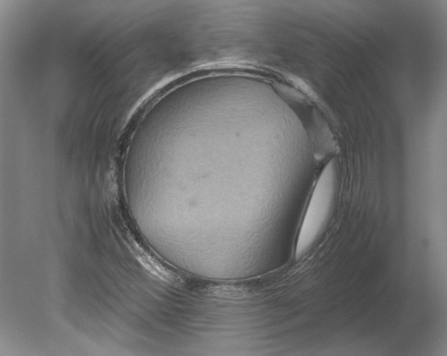 X0000080751356200701051159