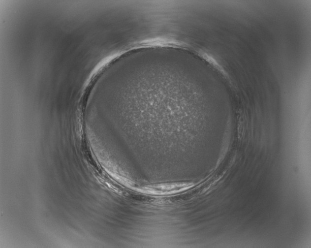 X0000080751358200701051159