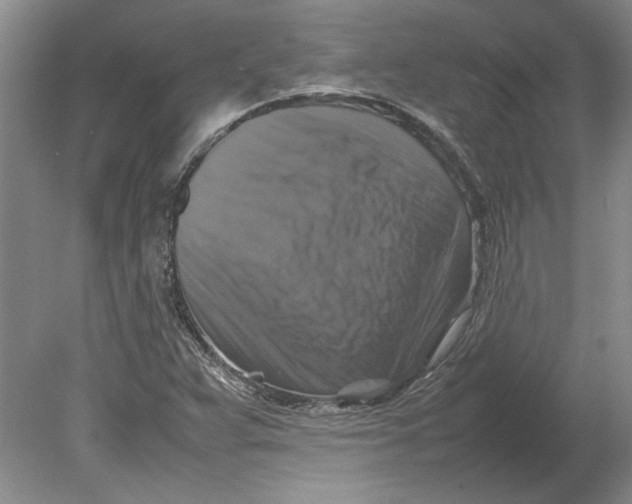 X0000080751359200701051159