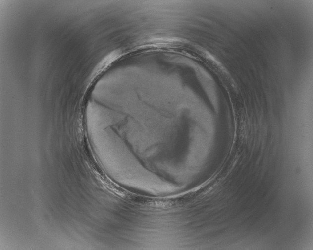 X0000080751362200701051159
