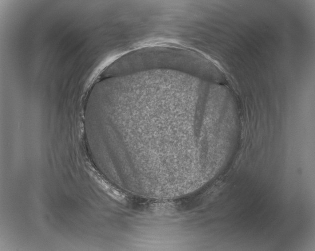 X0000080751363200701051159