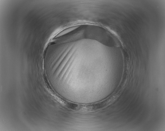 X0000080751365200701051159