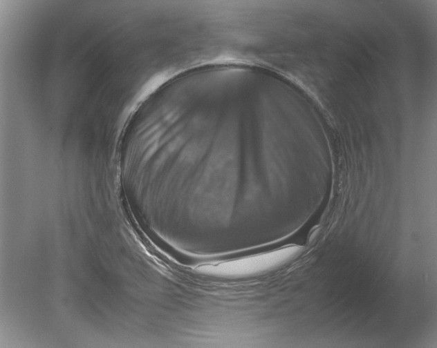 X0000080751367200701051159