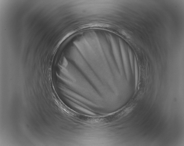 X0000080751369200701051159