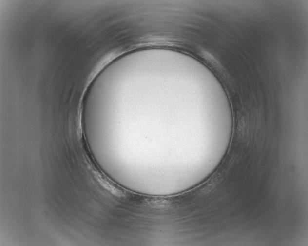 X0000080751370200701051159