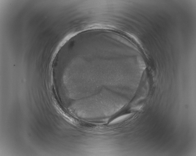 X0000080751371200701051159