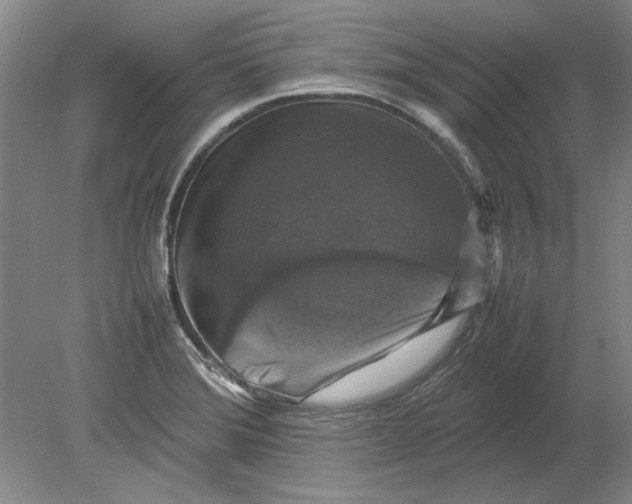 X0000080751372200701051159