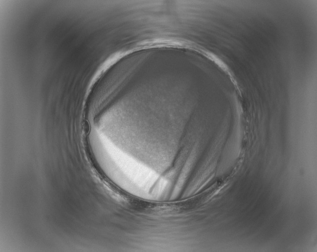 X0000080751373200701051159