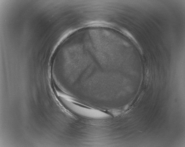 X0000080751376200701051159