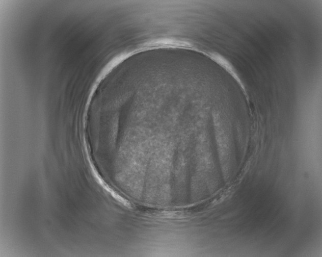 X0000080751381200701051159