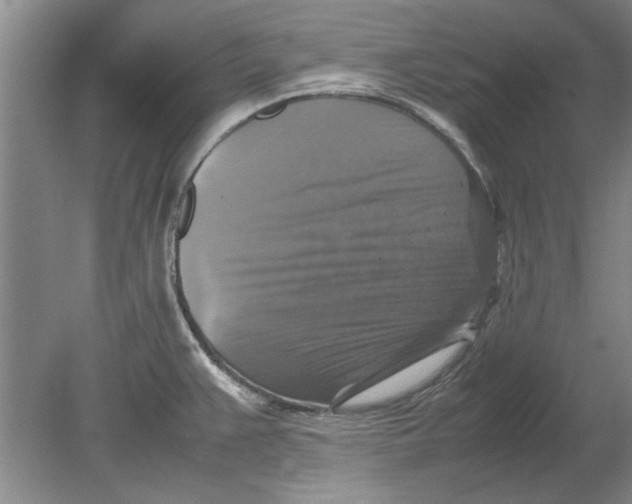 X0000080751383200701051159