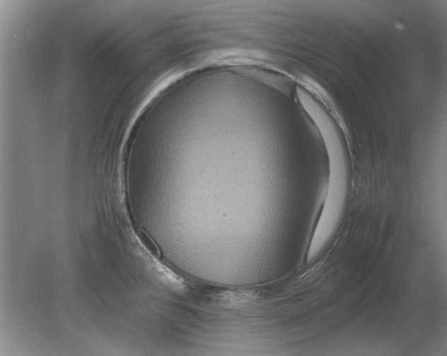 X0000080751384200701051159