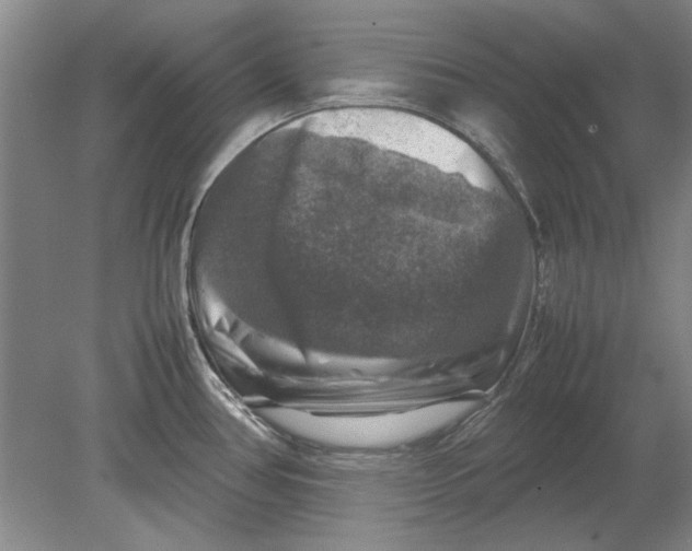 X0000080751386200701051159