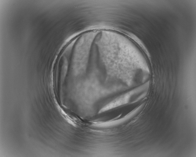 X0000080751388200701051159