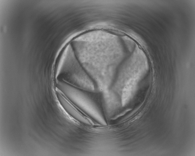 X0000080751392200701051159