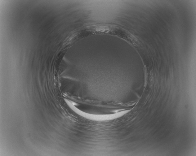 X0000080751394200701051158