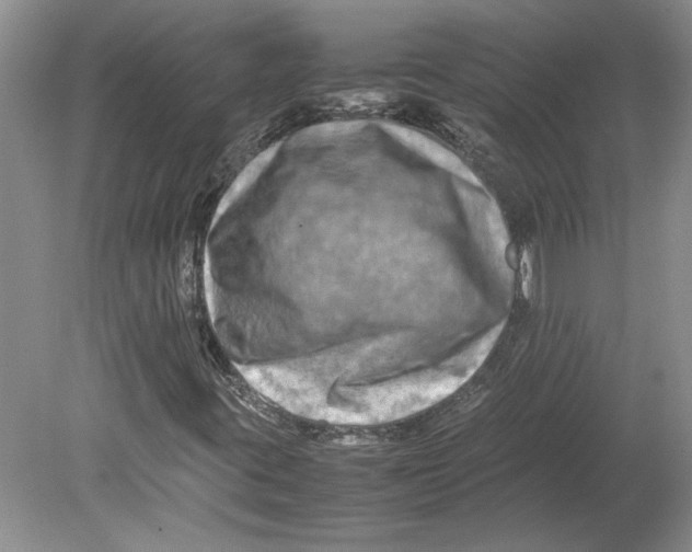 X0000080751395200701051158