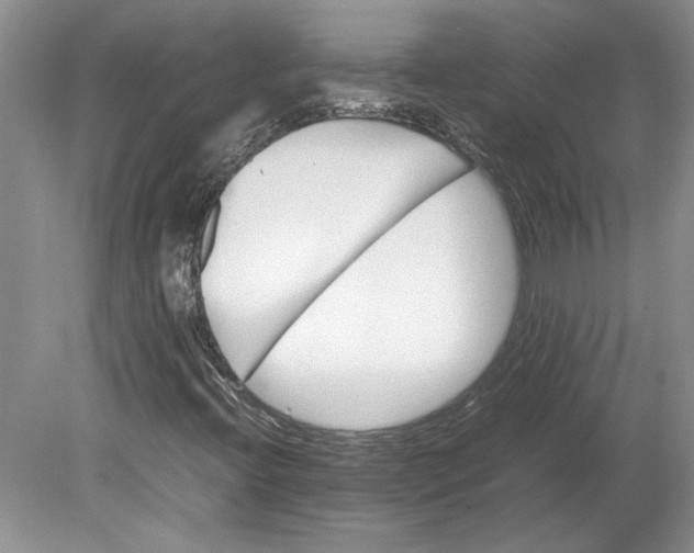 X0000080751396200701051158