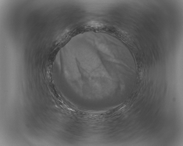 X0000080751397200701051158