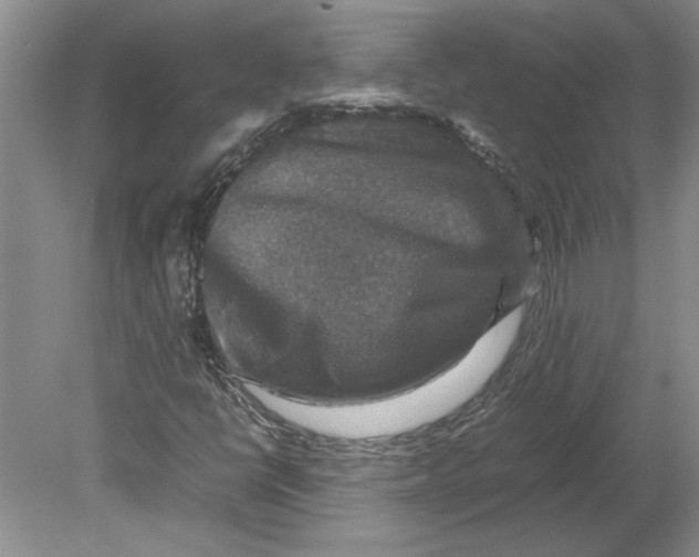 X0000080751398200701051158