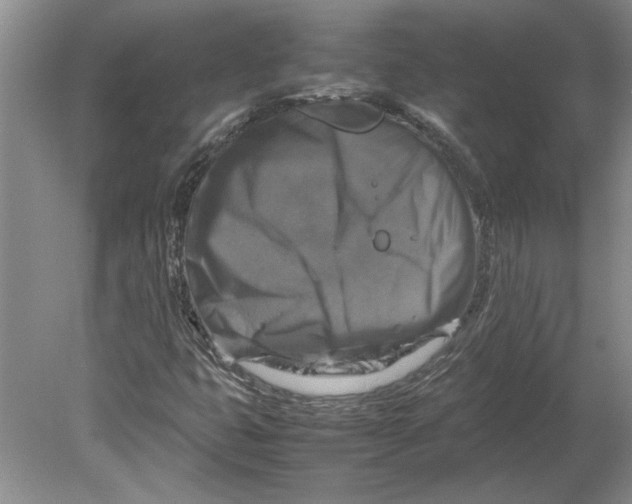 X0000080751399200701051158