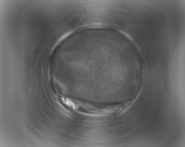 X0000080751402200701051158