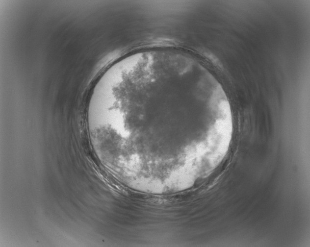 X0000080751405200701051158