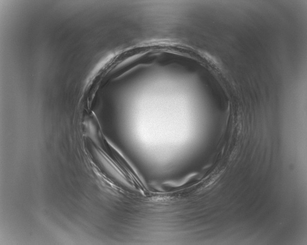 X0000080751406200701051158