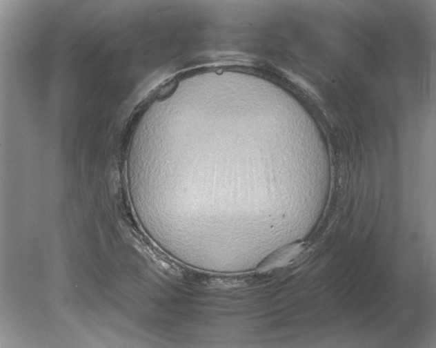 X0000080751407200701051158