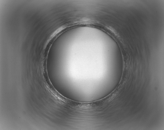 X0000080751410200701051158