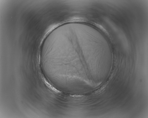 X0000080751413200701051158