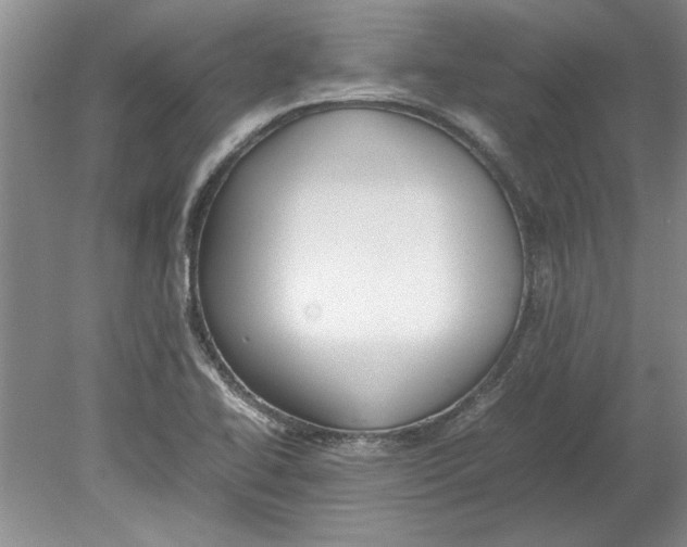 X0000080751414200701051158