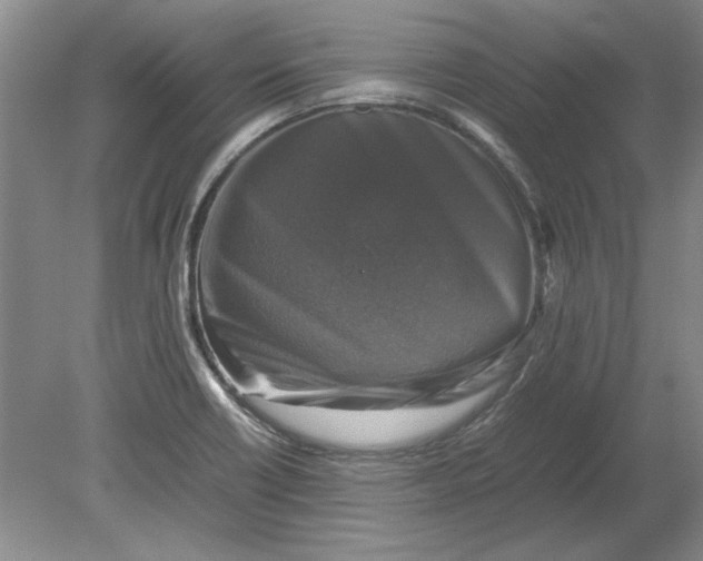 X0000080751418200701051159