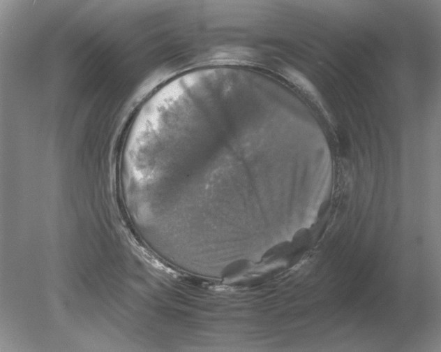X0000080751419200701051159