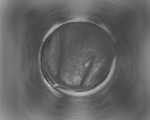 X0000080751422200701051159