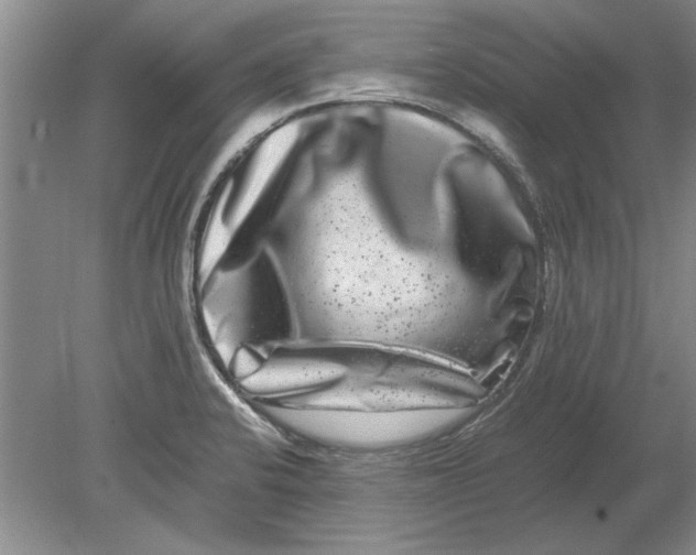 X0000080751424200701051159