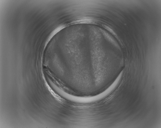 X0000080751426200701051159