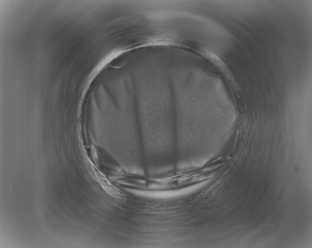X0000080751427200701051159