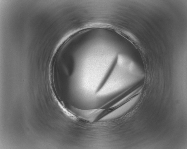 X0000080751430200701051159