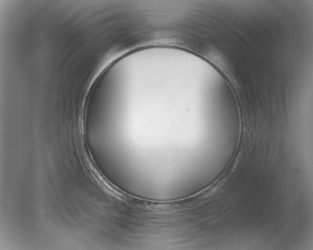 X0000080751436200701051159