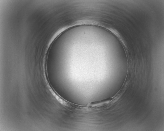 X0000080751438200701051159