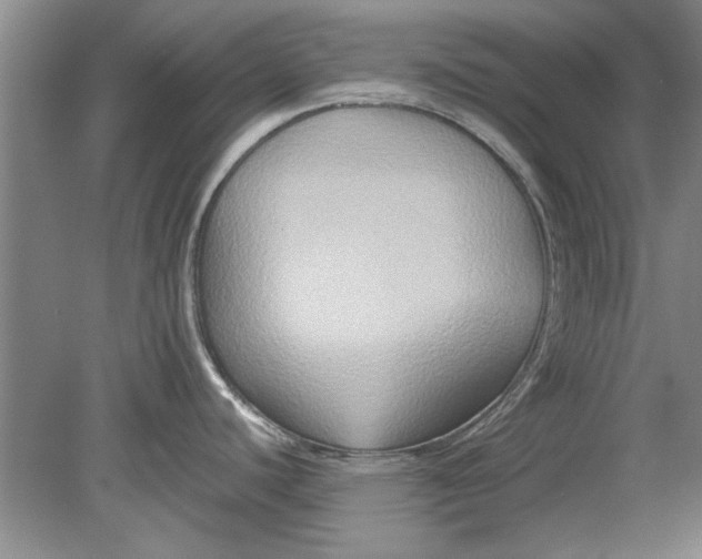 X0000080751440200701051159