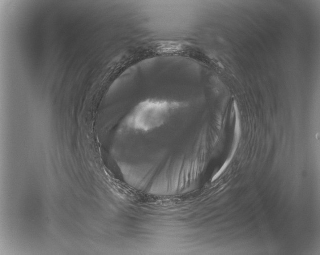 X0000080751441200701051158