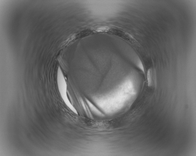 X0000080751443200701051158