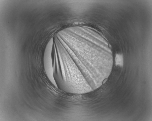 X0000080751444200701051158