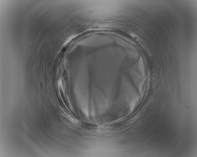 X0000080751449200701051158
